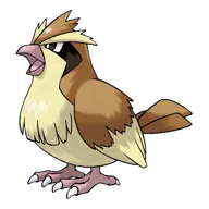 Pidgey