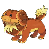 Dachsbun