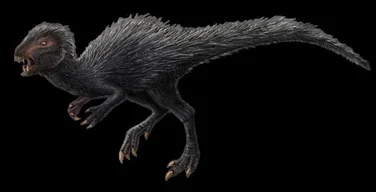 Heterodontosaurus