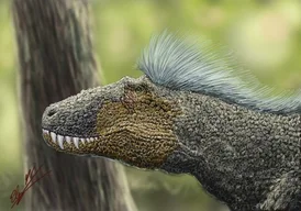 Lythronax