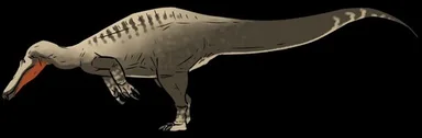 Suchosaurus