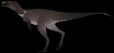 Nanotyrannus