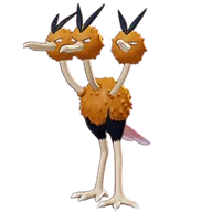 Dodrio