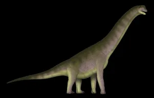 Europasaurus