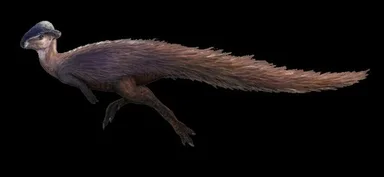Stegoceras