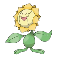 Sunflora