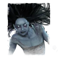 The Spirit