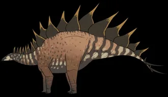 Stegosaurus